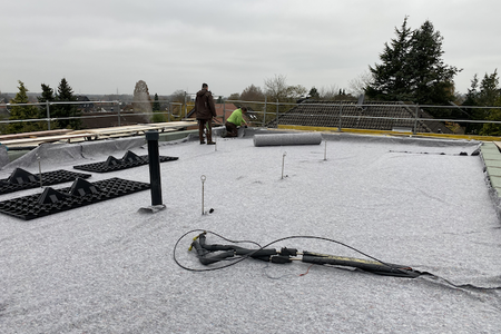 Sommer Grün GmbH - Solar und Dachbegrünung