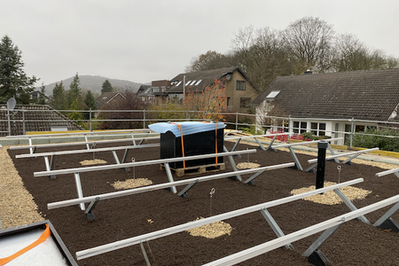 Sommer Grün GmbH - Solar und Dachbegrünung