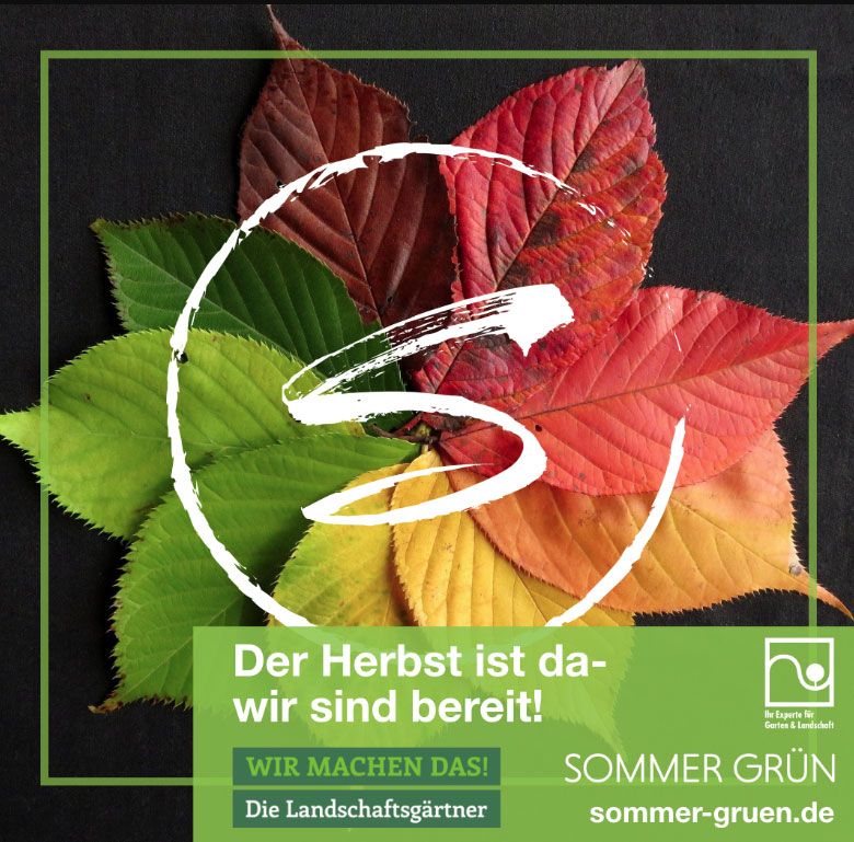 Herbst
