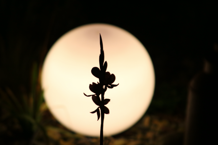 Smart Home Beleuchtung