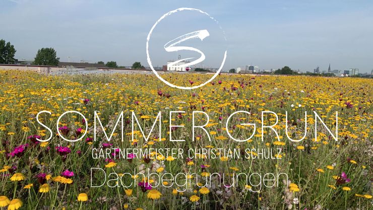 Sommer Grün GmbH